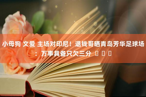 小母狗 文爱 主场对印尼！退钱哥晒青岛芳华足球场：万事具备只欠三分  ​​​