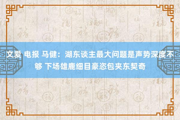 文爱 电报 马健：湖东谈主最大问题是声势深度不够 下场雄鹿细目豪恣包夹东契奇