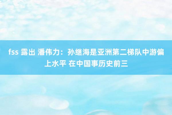 fss 露出 潘伟力：孙继海是亚洲第二梯队中游偏上水平 在中国事历史前三