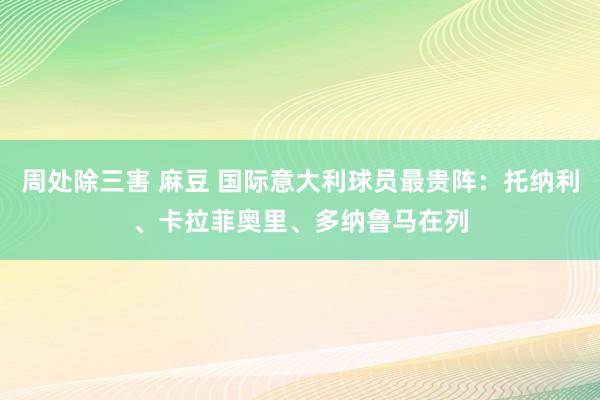 周处除三害 麻豆 国际意大利球员最贵阵：托纳利、卡拉菲奥里、多纳鲁马在列